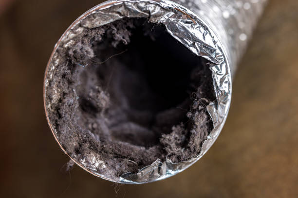 Best Affordable Air Duct Cleaning  in Combine, TX